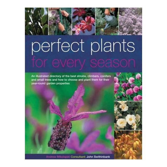 Perfect Plants for Every Season An Illustrated Directory of the Best Shrubs, Roses, Climbers, Conifers and Small Trees and How to Choose, Plant and Care for Them to Provide a Year-Round Structure to the Flower Garden